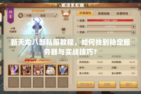 新天龙八部私服教程，如何找到稳定服务器与实战技巧？