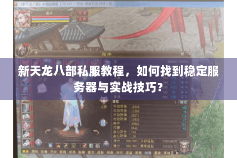 新天龙八部私服教程，如何找到稳定服务器与实战技巧？