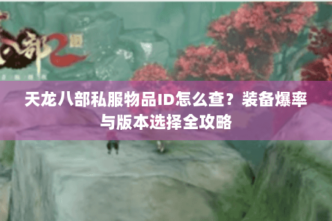 天龙八部私服物品ID怎么查？装备爆率与版本选择全攻略