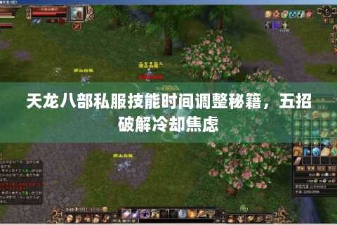 天龙八部私服技能时间调整秘籍,五招破解冷却焦虑 天龙八部私服技能时间调整秘籍,五招破解冷却焦虑