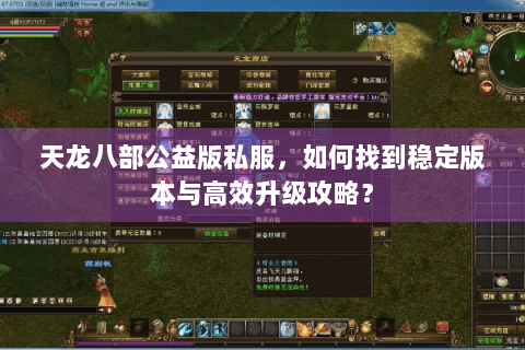 天龙八部公益版私服，如何找到稳定版本与高效升级攻略？