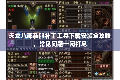 天龙八部私服补丁工具下载安装全攻略，常见问题一网打尽