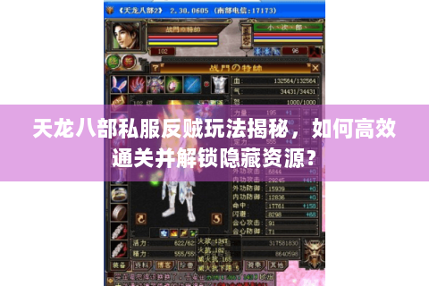 天龙八部私服反贼玩法揭秘，如何高效通关并解锁隐藏资源？
