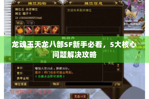 龙魂玉天龙八部SF新手必看，5大核心问题解决攻略