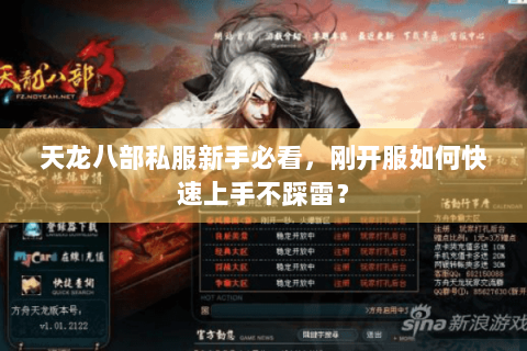 天龙八部私服新手必看，刚开服如何快速上手不踩雷？