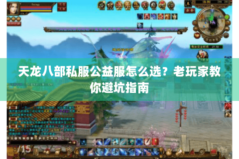 天龙八部私服公益服怎么选?老玩家教你避坑指南 天龙八部私服公益服怎么选?老玩家教你避坑指南