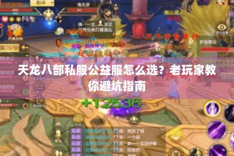 天龙八部私服公益服怎么选?老玩家教你避坑指南 天龙八部私服公益服怎么选?老玩家教你避坑指南