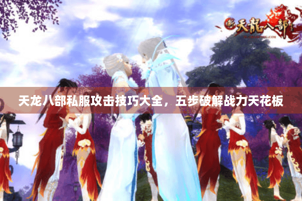 天龙八部私服攻击技巧大全,五步破解战力天花板 天龙八部私服攻击技巧大全,五步破解战力天花板