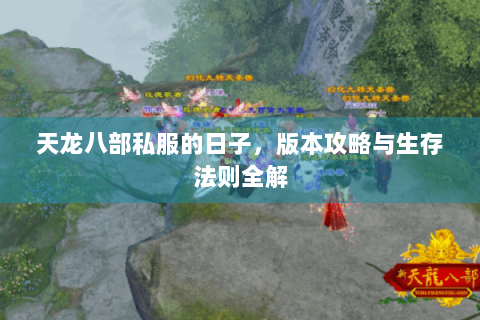 天龙八部私服的日子,版本攻略与生存法则全解 天龙八部私服的日子,版本攻略与生存法则全解