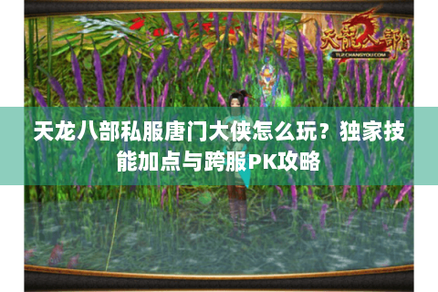 天龙八部私服唐门大侠怎么玩？独家技能加点与跨服PK攻略