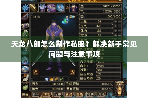 天龙八部怎么制作私服？解决新手常见问题与注意事项