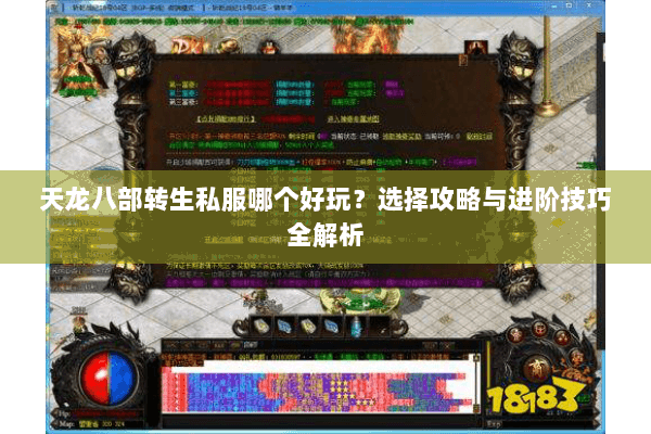 天龙八部转生私服哪个好玩?选择攻略与进阶技巧全解析 天龙八部转生私服哪个好玩?选择攻略与进阶技巧全解析