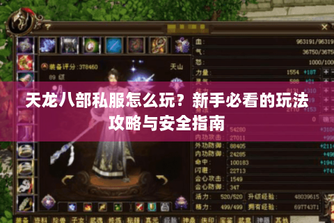 天龙八部私服怎么玩？新手必看的玩法攻略与安全指南