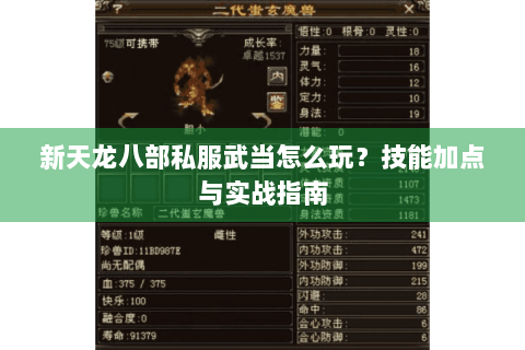 新天龙八部私服武当怎么玩?技能加点与实战指南 新天龙八部私服武当怎么玩?技能加点与实战指南