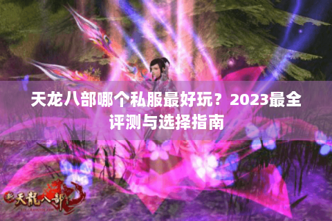 天龙八部哪个私服最好玩？2023最全评测与选择指南