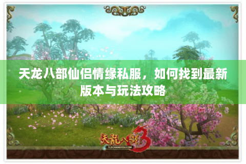 天龙八部仙侣情缘私服，如何找到最新版本与玩法攻略