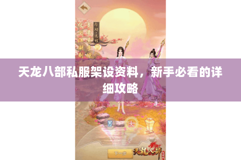 天龙八部私服架设资料，新手必看的详细攻略