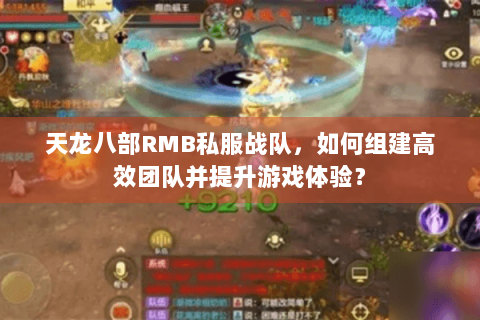 天龙八部RMB私服战队，如何组建高效团队并提升游戏体验？