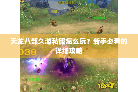 天龙八部久游私服怎么玩？新手必看的详细攻略