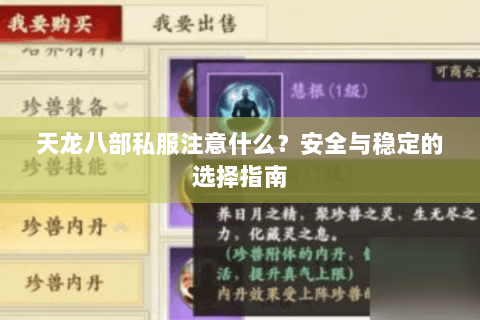 天龙八部私服注意什么?安全与稳定的选择指南 天龙八部私服注意什么?安全与稳定的选择指南