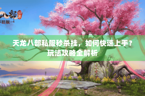 天龙八部私服秒杀挂，如何快速上手？玩法攻略全解析