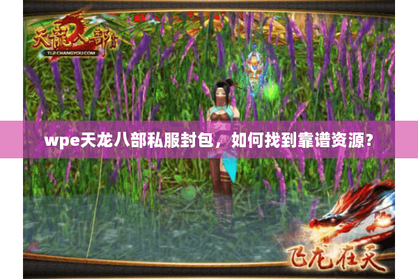 wpe天龙八部私服封包,如何找到靠谱资源? wpe天龙八部私服封包,如何找到靠谱资源?