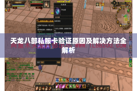 天龙八部私服卡验证原因及解决方法全解析