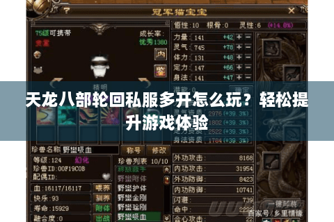 天龙八部轮回私服多开怎么玩？轻松提升游戏体验