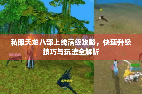 私服天龙八部上线满级攻略,快速升级技巧与玩法全解析 私服天龙八部上线满级攻略,快速升级技巧与玩法全解析
