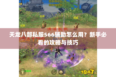 天龙八部私服566辅助怎么用？新手必看的攻略与技巧