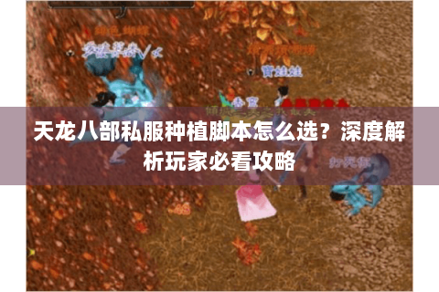 天龙八部私服种植脚本怎么选？深度解析玩家必看攻略