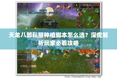 天龙八部私服种植脚本怎么选？深度解析玩家必看攻略