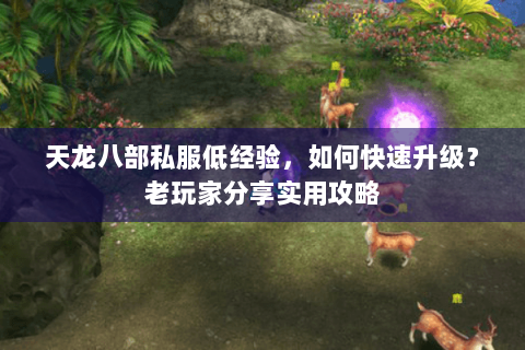 天龙八部私服低经验，如何快速升级？老玩家分享实用攻略