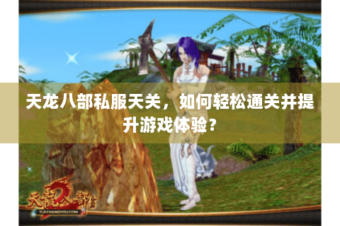 天龙八部私服天关，如何轻松通关并提升游戏体验？