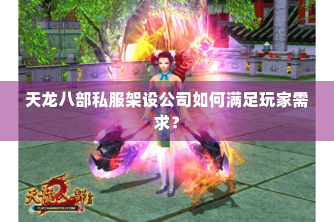 天龙八部私服架设公司如何满足玩家需求？