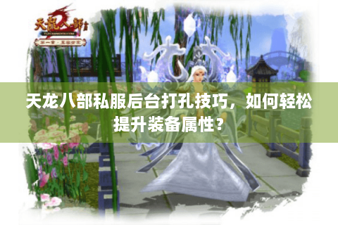 天龙八部私服后台打孔技巧，如何轻松提升装备属性？