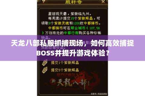 天龙八部私服抓捕现场，如何高效捕捉BOSS并提升游戏体验？