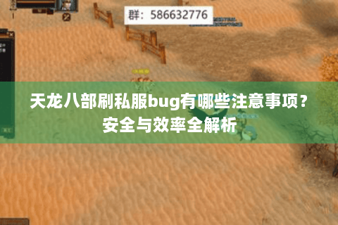 天龙八部刷私服bug有哪些注意事项？安全与效率全解析
