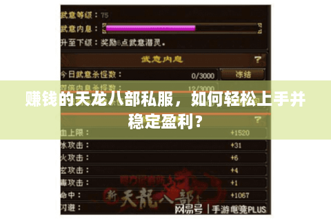 赚钱的天龙八部私服，如何轻松上手并稳定盈利？