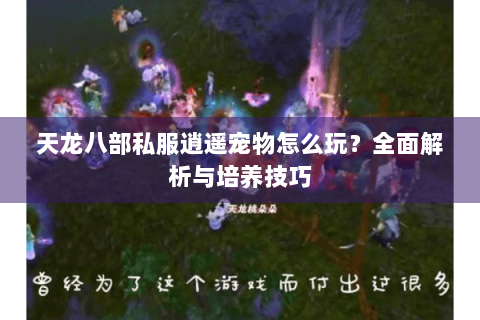 天龙八部私服逍遥宠物怎么玩?全面解析与培养技巧 天龙八部私服逍遥宠物怎么玩?全面解析与培养技巧