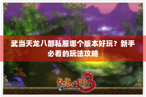 武当天龙八部私服哪个版本好玩？新手必看的玩法攻略