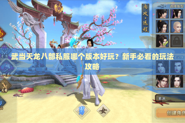 武当天龙八部私服哪个版本好玩？新手必看的玩法攻略