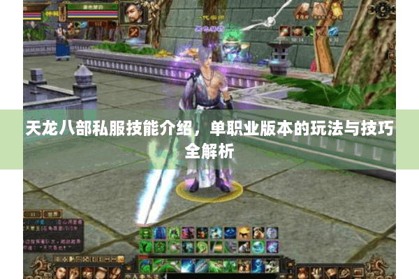 天龙八部私服技能介绍，单职业版本的玩法与技巧全解析