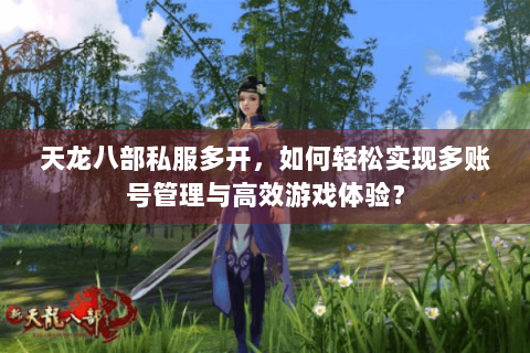 天龙八部私服多开,如何轻松实现多账号管理与高效游戏体验? 天龙八部私服多开,如何轻松实现多账号管理与高效游戏体验?