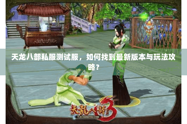 天龙八部私服测试服，如何找到最新版本与玩法攻略？